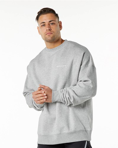 Alphalete Brushed Fleece Crewneck Tröja Grå | BSVW-39468