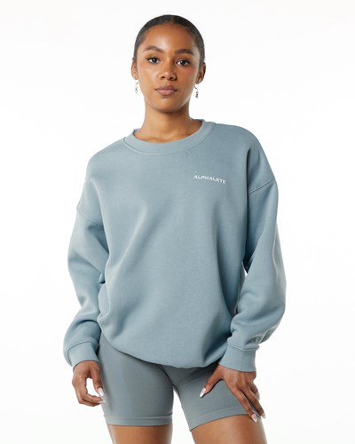 Alphalete Brushed Fleece Crewneck Tröja Blå | LMIU-48057