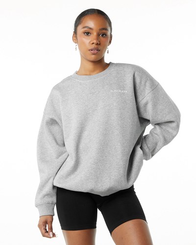 Alphalete Brushed Fleece Crewneck Tröja Grå | QLFC-31695