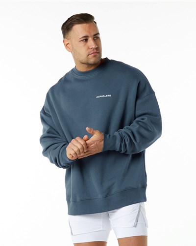 Alphalete Brushed Fleece Crewneck Tröja Blå | ZTAX-86240