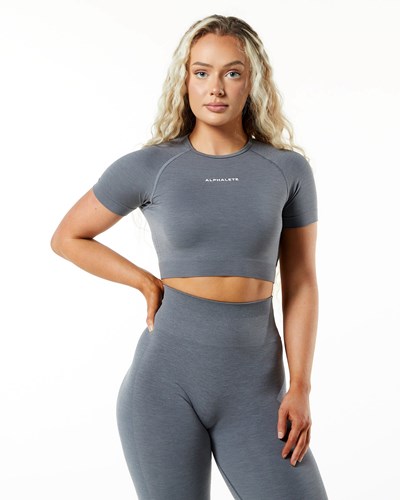 Alphalete Cropped Seamless Korta Sleeve Titan | YTOL-39647