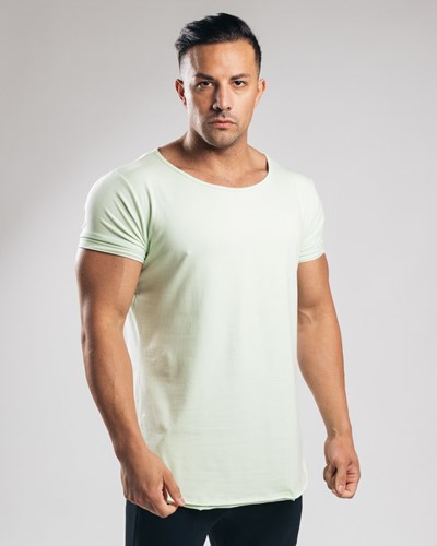 Alphalete Fitted Korta Sleeve Frozen Spring | JKUR-36457