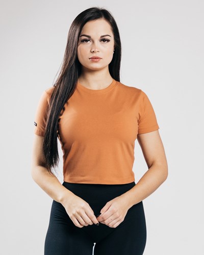 Alphalete Fitted Performance Crop Top Clay | GPHZ-53746