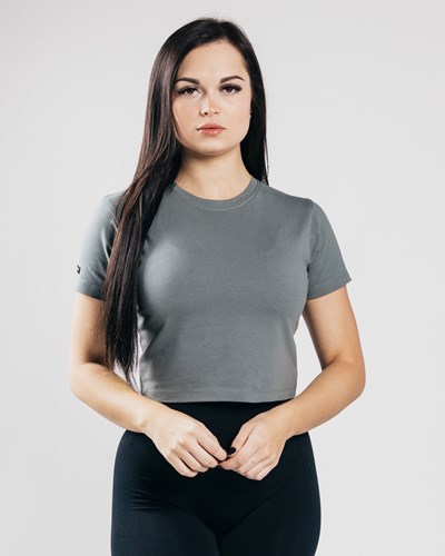 Alphalete Fitted Performance Crop Top Concrete | PWHX-32905