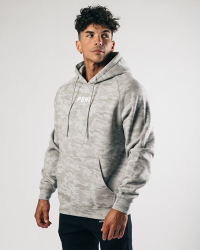 Alphalete Fitted Performance Hoodie Silver | IGDP-73621