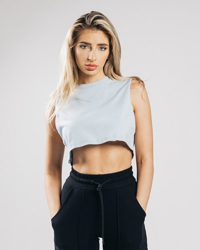 Alphalete Heavy Bomull Cropped Cutoff Blå | BTXA-28167