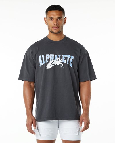 Alphalete Heavyweight Oversized Tee Blå | XCSD-97284