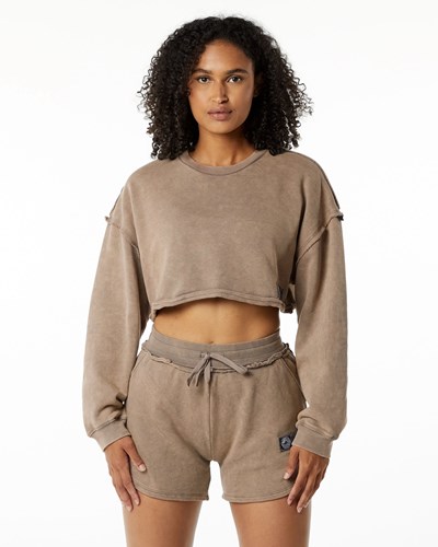 Alphalete Heavyweight Washed Terry Crop Pullover Smokey Quartz | MARZ-03574