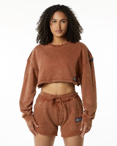 Alphalete Heavyweight Washed Terry Crop Pullover Bloodstone | ZXIN-07452