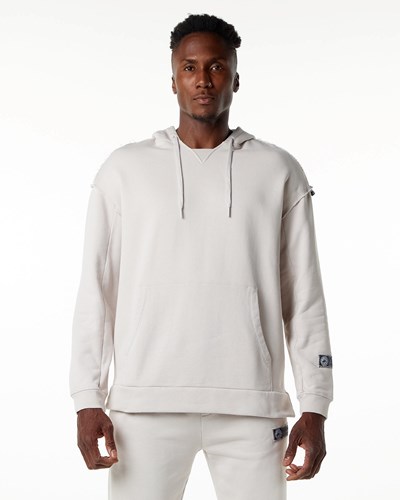 Alphalete Heavyweight Washed Terry Hoodie Moonstone | NYZH-91854