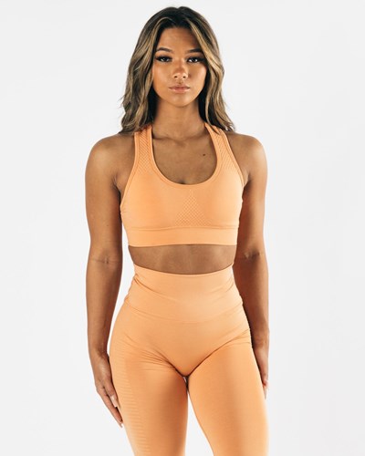 Alphalete High-Impact Seamless Sports Bra Korall | YOIV-24715