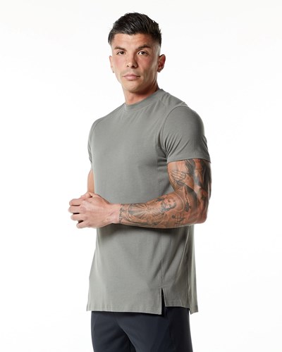 Alphalete High-Neck Premium Korta Sleeve Tee Grå | HWNJ-83076