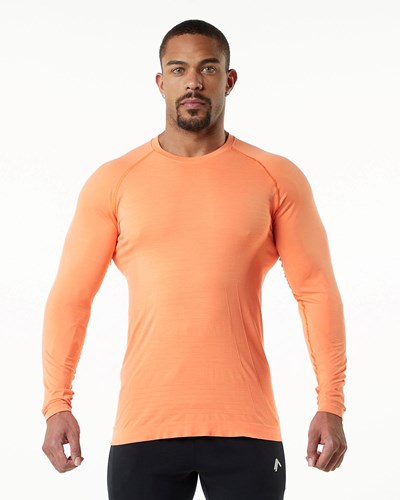 Alphalete High Performance Seamless Long Sleeve Tee Faded Day Tripper | LKDC-90318