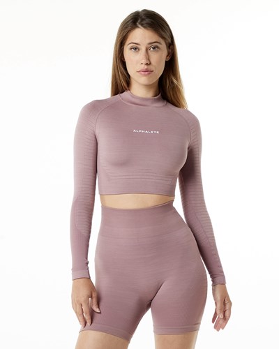 Alphalete High Performance Seamless Long Sleeve Tee Mauve | PEOG-21649