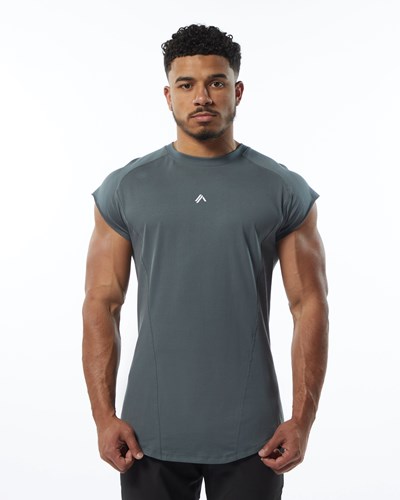 Alphalete High Performance Ärmlös Tee Grå | OQRP-07956