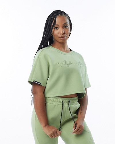 Alphalete Interlock Knit Crop Pullover Ljusgröna | CAJX-19846