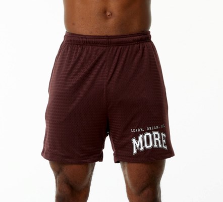 Alphalete Luxury Fodrade 4-Way Stretch Mesh Korta Vinröda | GJQF-91376