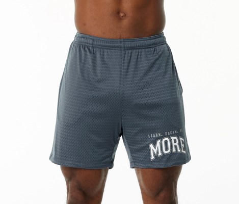 Alphalete Luxury Fodrade 4-Way Stretch Mesh Korta Blå | HIKP-41920