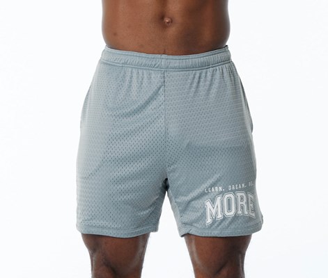 Alphalete Luxury Fodrade 4-Way Stretch Mesh Korta Blå | WRQZ-25173