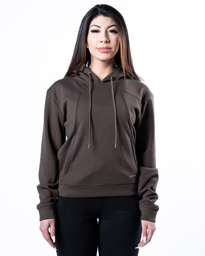 Alphalete Luxury Velvet Fodrade Hoodie Mörkbruna | OCBP-67134