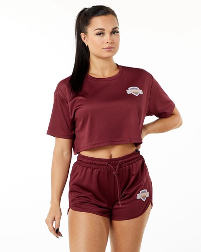 Alphalete Oversized Crop Jersey Crimson | XIEQ-73291