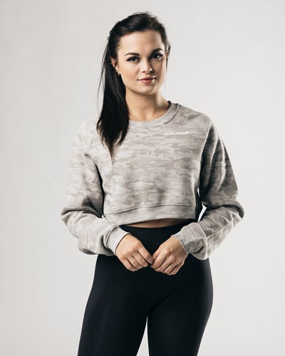 Alphalete Oversized Fleece Cropped Tröja Silver | MRBY-14378
