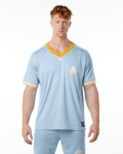Alphalete Oversized Korta Sleeve Jersey Ljusblå | VKAS-69180