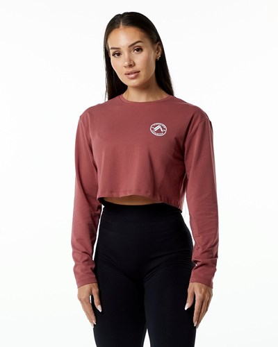 Alphalete Oversized Performance Long Sleeve Crop Gingerbread | ENUL-98371