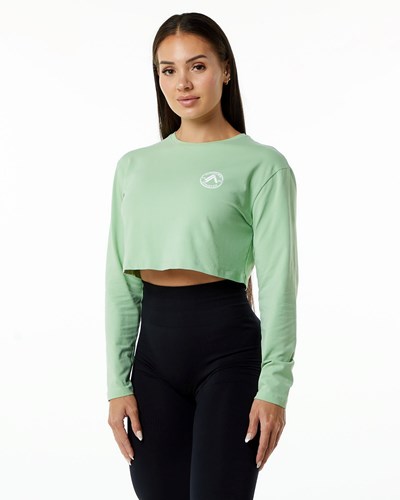 Alphalete Oversized Performance Long Sleeve Crop Pistachio | NFUI-39582