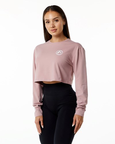 Alphalete Oversized Performance Long Sleeve Crop Mauve | VKYO-04256