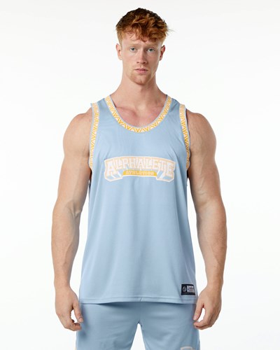 Alphalete Relaxed Fit Jersey Ljusblå | ZPMO-45732