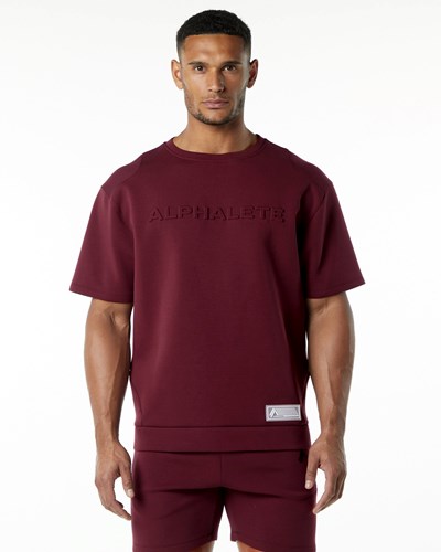 Alphalete Relaxed Interlock Knit Pullover Vinröda | DXNL-82157