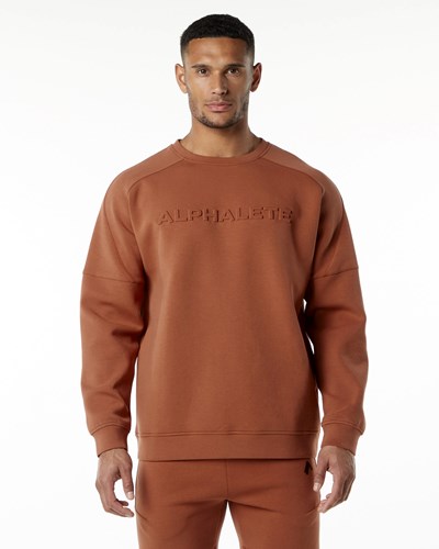 Alphalete Relaxed Interlock Knit Pullover Brick | HXKJ-05164