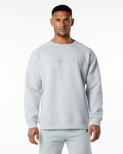 Alphalete Relaxed Interlock Knit Pullover Grå | TQWA-56897