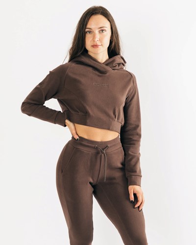 Alphalete Relaxed Single-Brushed Pullover Hoodie Cocoa | DUBQ-23786