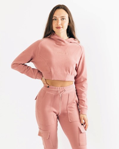 Alphalete Relaxed Single-Brushed Pullover Hoodie Cranberry Ice | RUHL-42168