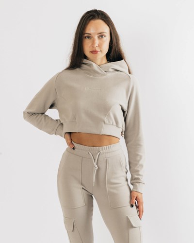 Alphalete Relaxed Single-Brushed Pullover Hoodie String | XJSI-75684