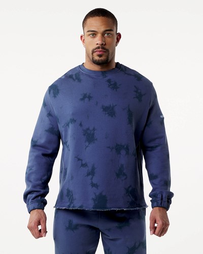 Alphalete Washed Fleece Tröja Moonlight | WXNY-02746